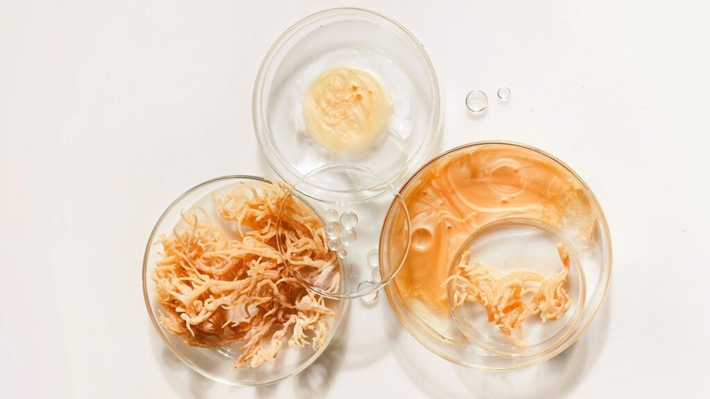 sea moss benefits